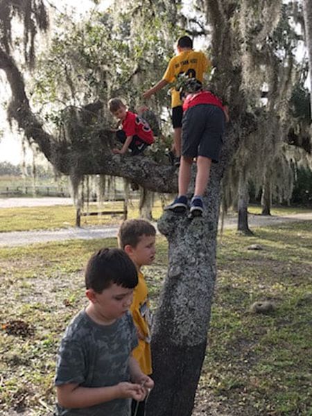 237011997-109061298153504-2263986611755145968-n_orig