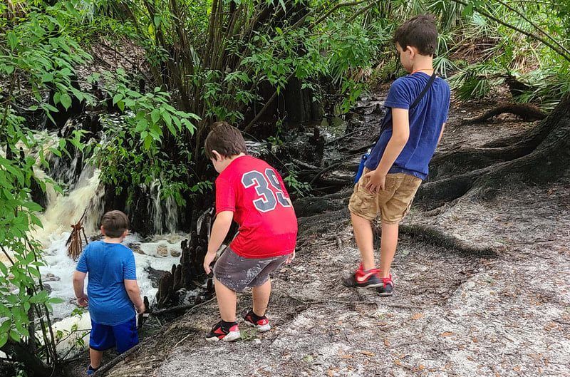 239079878-109061564820144-4944517637065293121-n_orig